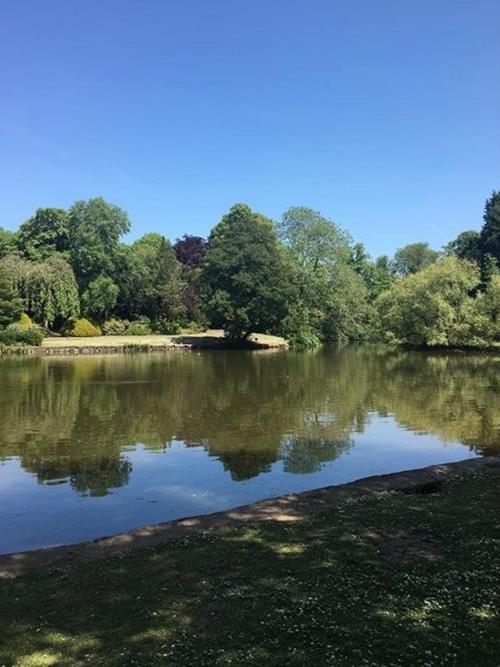 Queen's Park Longton